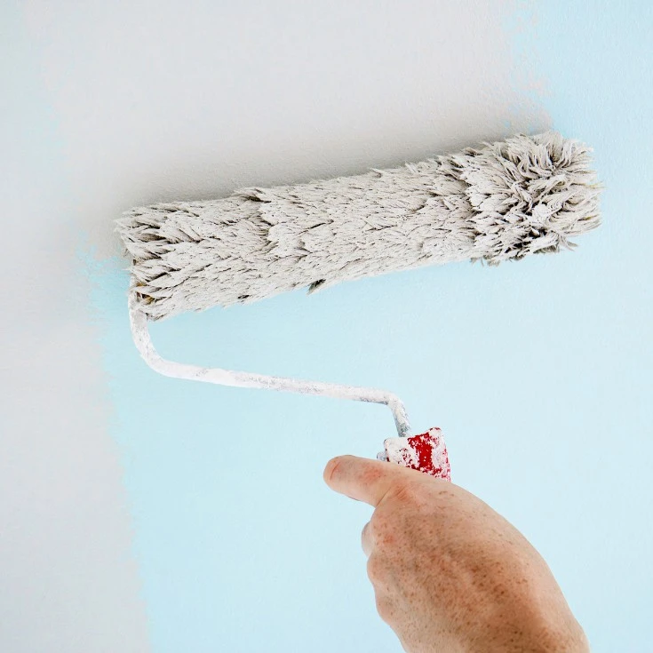 house-repaint